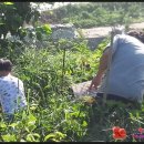 가정농장 이미지