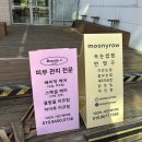 무늬로우(moonyrow) | 전주 하가지구 서신동 무늬로우 속눈썹펌 후기