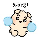 리라 핏 이미지