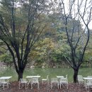 벌곡(논산) | 논산 카페 벌곡 카약 체험 후기 카약 공짜로 탈 수 있는 자연 속 힐링 카페