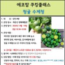 9.19(월)에코맘 쿠킹클래스(청귤 수제청)_오전10시30분_성인대상 이미지