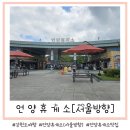 언양주유소 | 언양휴게소 맛집 강원도, 서울방향 경부고속도로 휴게소 주유소