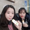 석정목장 이미지