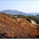 도장골2 이미지