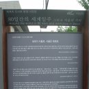 [후기] 80일간의 세계일주