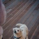 나곡해수욕장 이미지