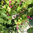 영생 농장 이미지