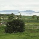 해남공룡박물관 이미지