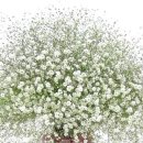 오늘이더예쁜공주 이미지