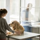 옐레드 하남미사점 이미지