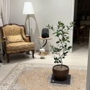 곽지 1645 이미지