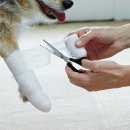 티앤디 동물병원 이미지