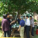 오뚜기 목장 이미지