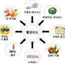 미샾 이미지