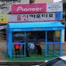 윤영35