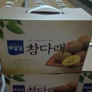 심가네 농장 이미지