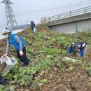 감천제방 이미지