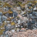 삼보쉼터 이미지