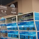 대구자라양식장