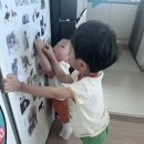 교촌치킨횡성점 | 6.11 오늘일기