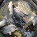 월척낚시터 이미지