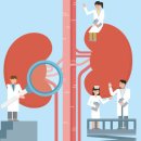 "생존자 장기기증, 여성이 더 많이 건네 남성이 더 받았다" 이미지