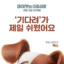 마이펫의 이중생활 꿀잼!