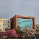 순천희망병원 | 3월1일 순천 매화명소 3곳 주차장에서 모두 도보10분이내 매산고 탐매마을 사운즈옥천