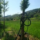 서해전기 - 완도군 노화로 722 | 서해전기