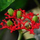 산호유통 이미지