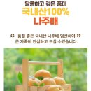 아침마다 챙겨 마시는 나만의 배즙 루틴 🍐 진짜 순수 100%