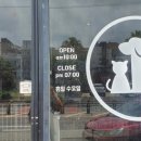 절세미견 이미지