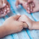 원어린이집 이미지