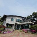 춘천 분위기 좋은 브런치 카페 금베이숲 내돈내산 후기