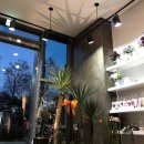플로정아 이미지