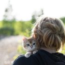 내친구고양이 이미지