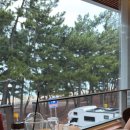 경포의하루 이미지