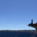 블루마운틴 이미지