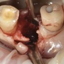 마노메디칼 이미지