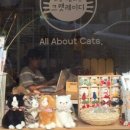 크캣레이디 - 서구 남선로9번길 13 | 크캣레이디