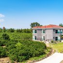 쇠소깍 천일펜션 이미지