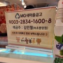 속초 시장 왕가탕후루 속초중앙점 줄서서 먹는 맛집
