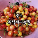 옥석농장 이미지