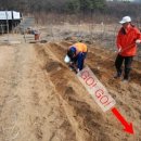 안곡농장3 이미지