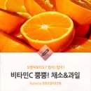 오렌지 이미지