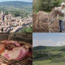 돌체민박 이미지