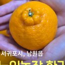 신명파트너스