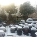 영취산 민박 이미지