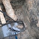 서일중학교 이미지