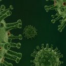 북수초등학교 이미지